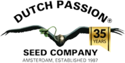 Dutch Passion