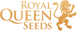 Royal Queen seeds
