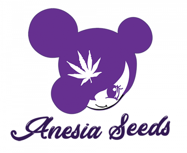 Anesia-Seeds-Logo-superseeds