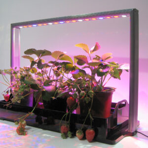 Homefarm pro