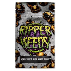 (Gelato Acaiberrry X Kush Mints) X Runtz - (3 stk) Ripper Seeds