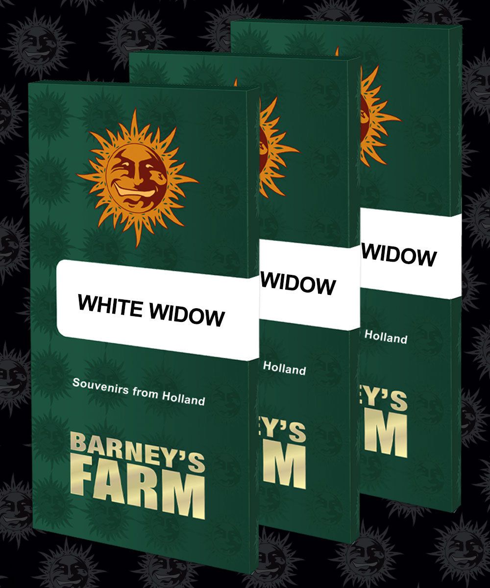 White Widow – Fem – Barney’s Farm
