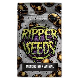 Mendocino X Animal Cookies - (3 stk) Ripper Seeds