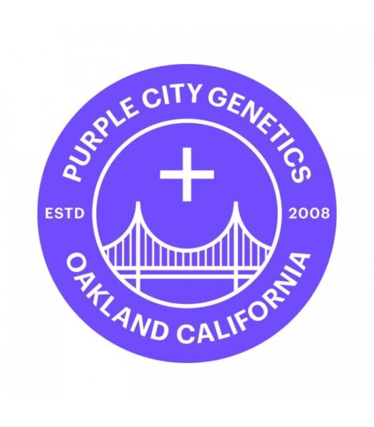 purple-city-genetics-superseeds