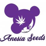 superseeds-anesia-seeds