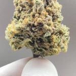 wonderpie-superseeds1