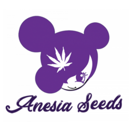 Anesia Seeds