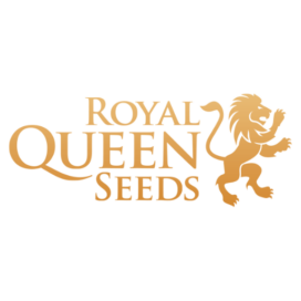 Royal Queen seeds