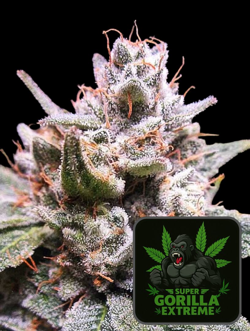 Super Gorilla Extreme Auto - Super Seeds