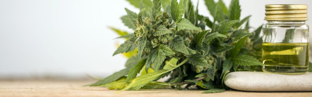 Hvordan tager man CBD dråber