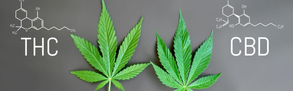 Hvordan virker CBD