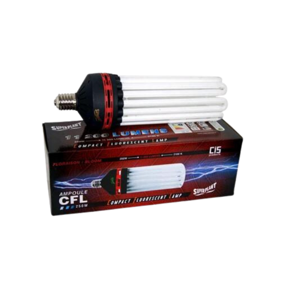 250w-Agro_Bloom-CFL-paere-–-Superplant-1.png