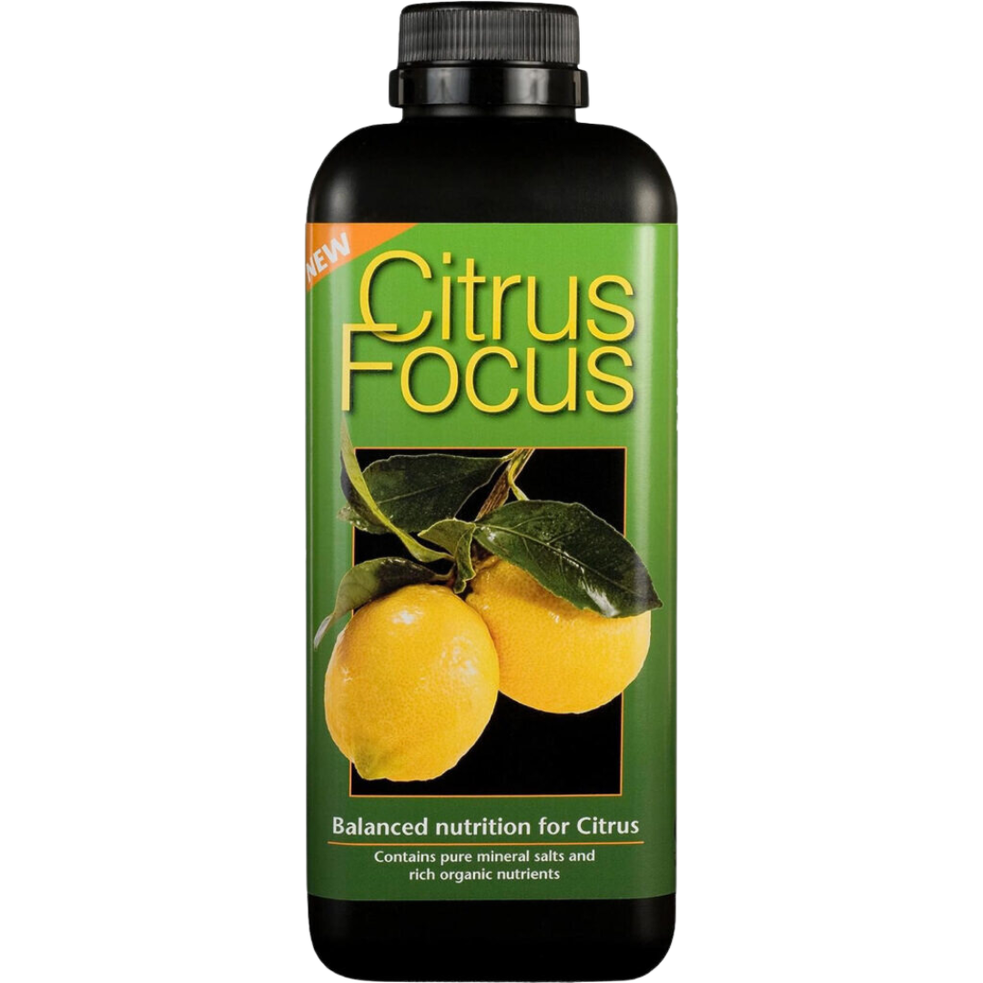 Citrus-Focus-1L.png