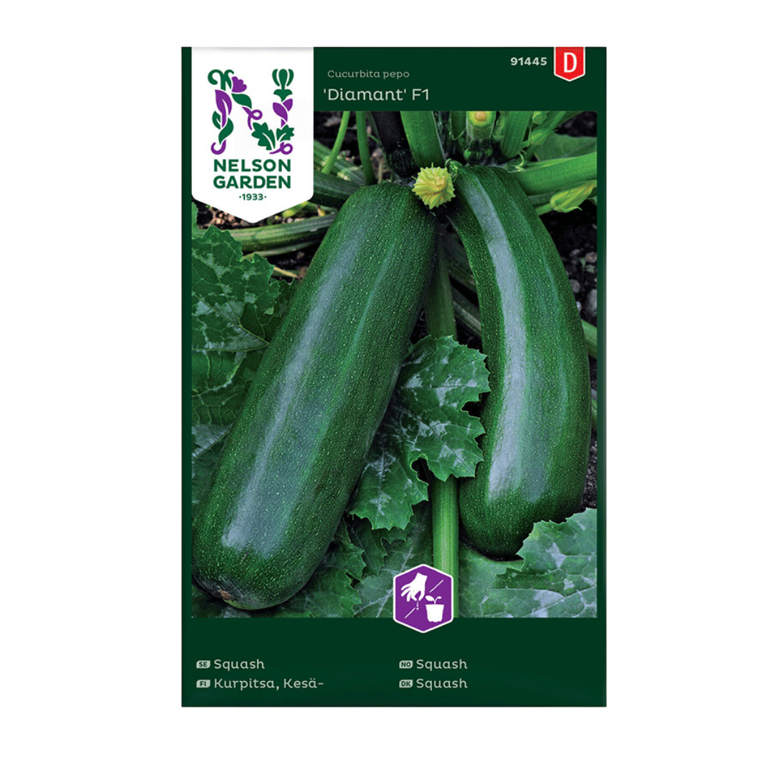 Diamant-Squash.png