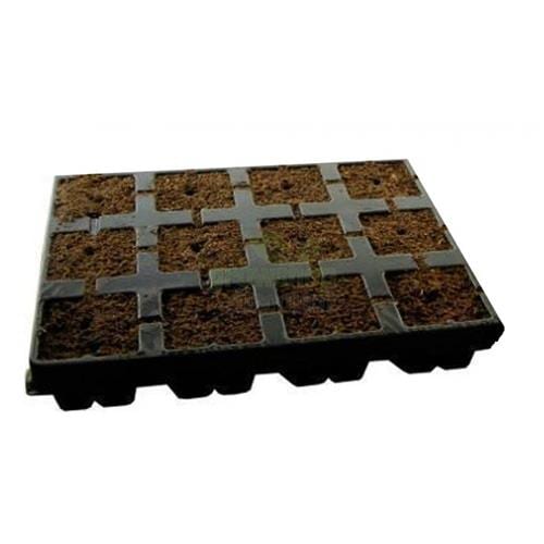 EAZY-PLUG-12-CUBES.jpg