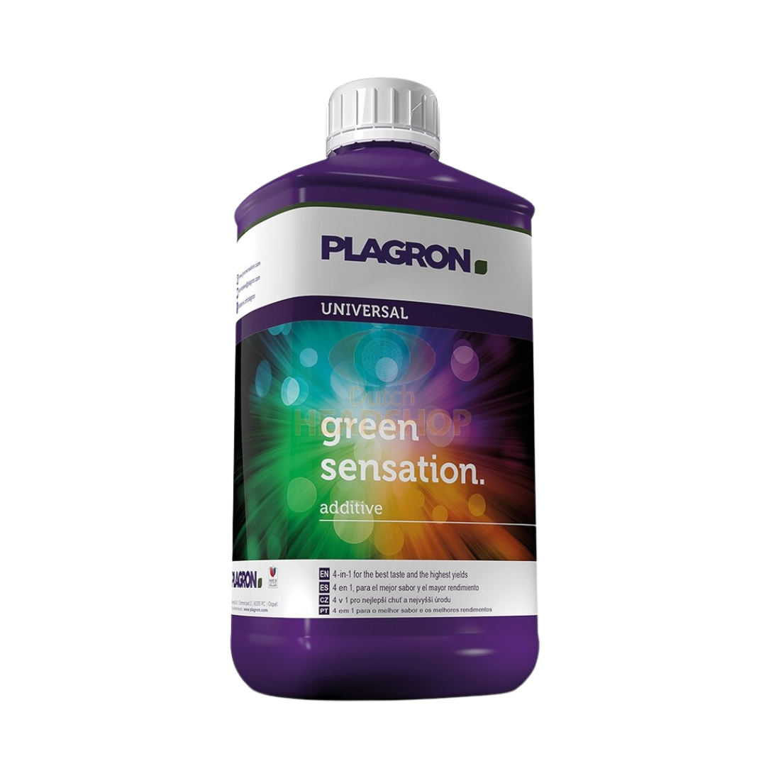 Green-Sensation-–-Plagron.png