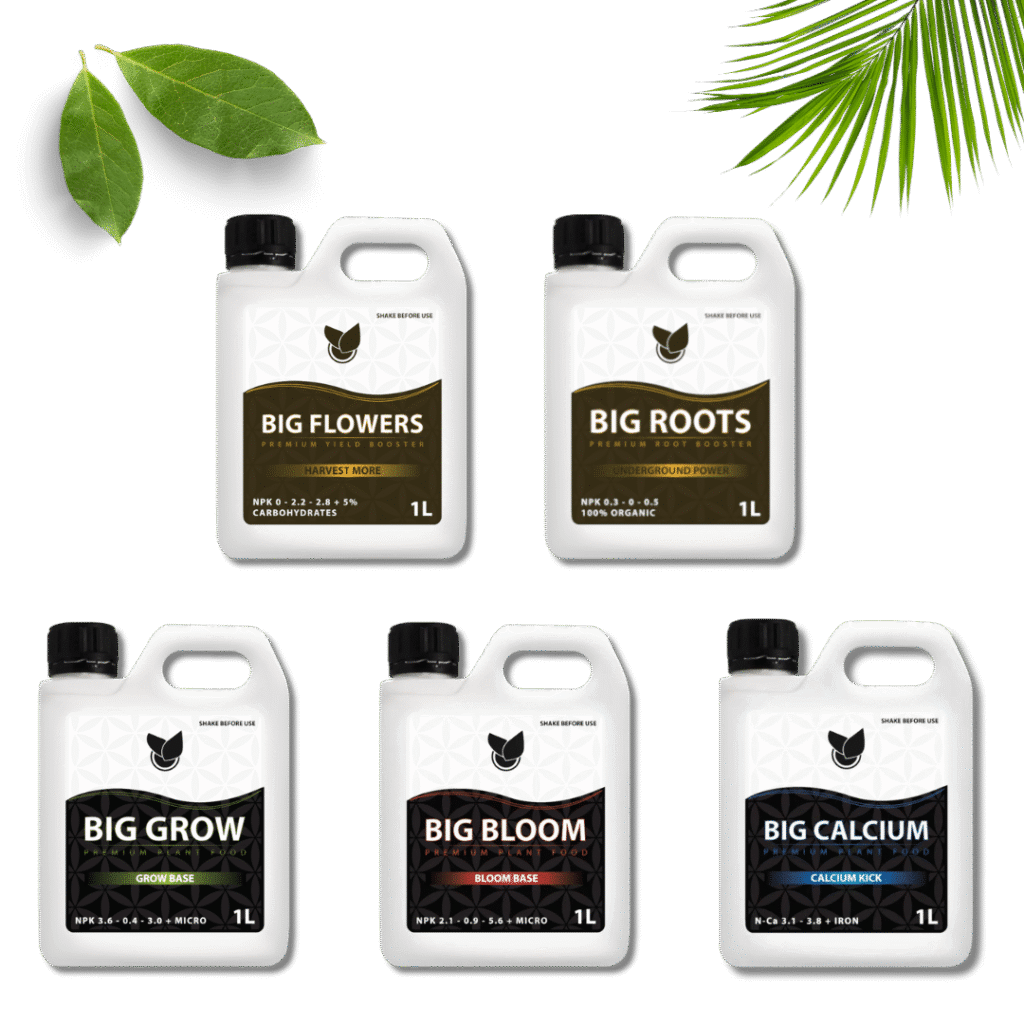 Komplet Basic Kit - Big Plant Science