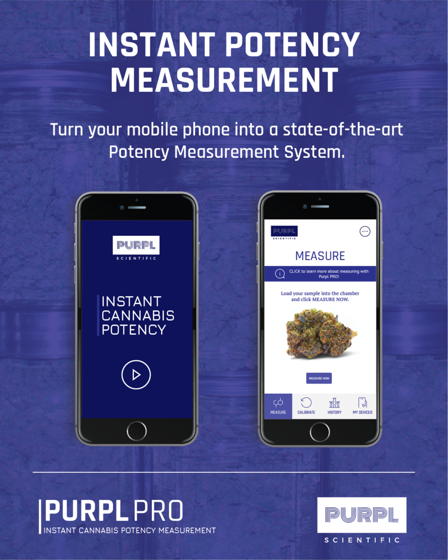 PurplPRO_Graphic-01_900x.png