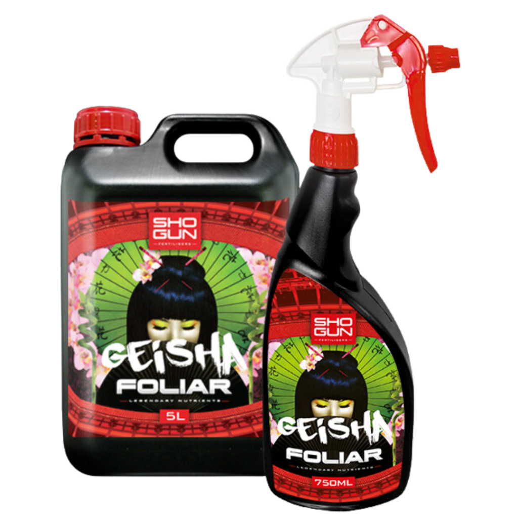 SHOGUN - Geisha Foliar