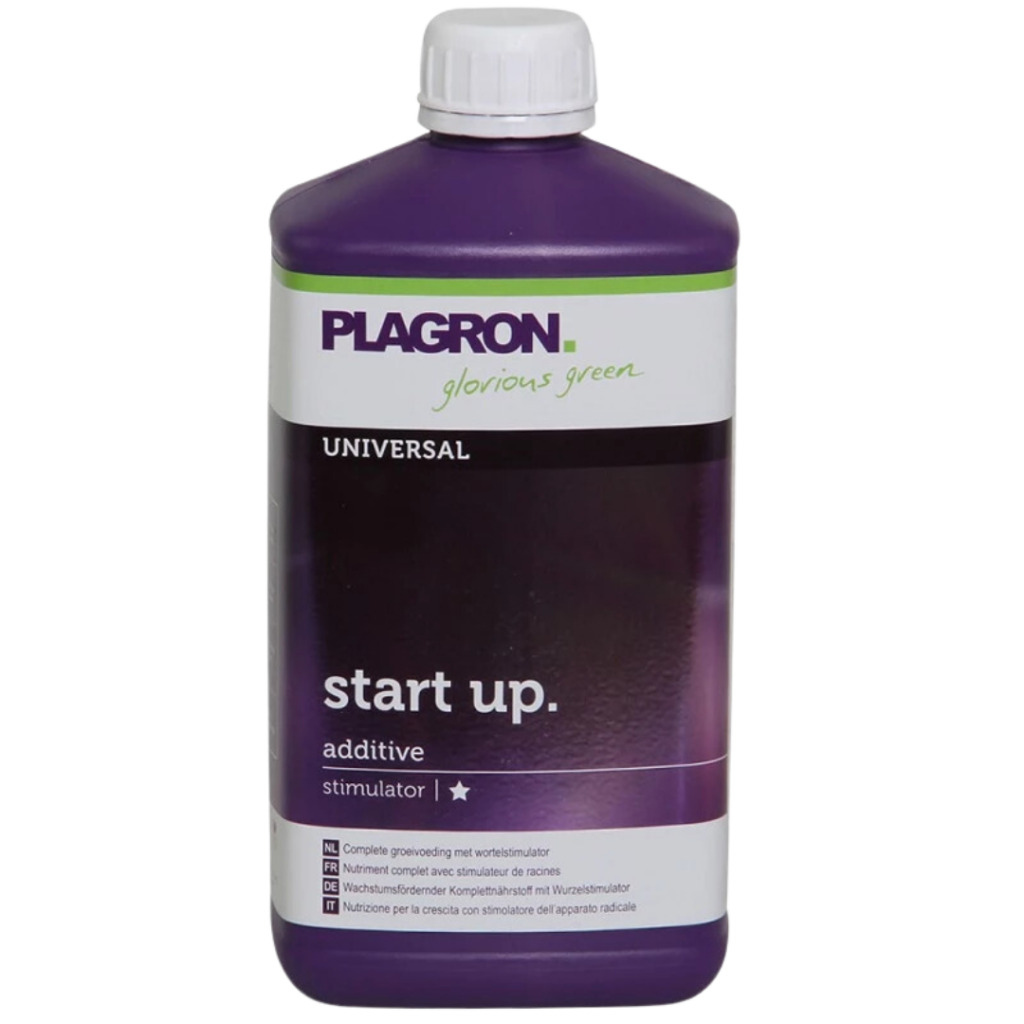 Start up 1L