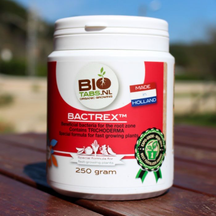 bactrex-250-eu-x700.jpg