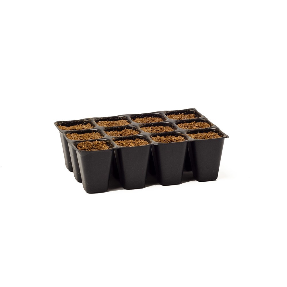 product-seedplugs-04.jpg
