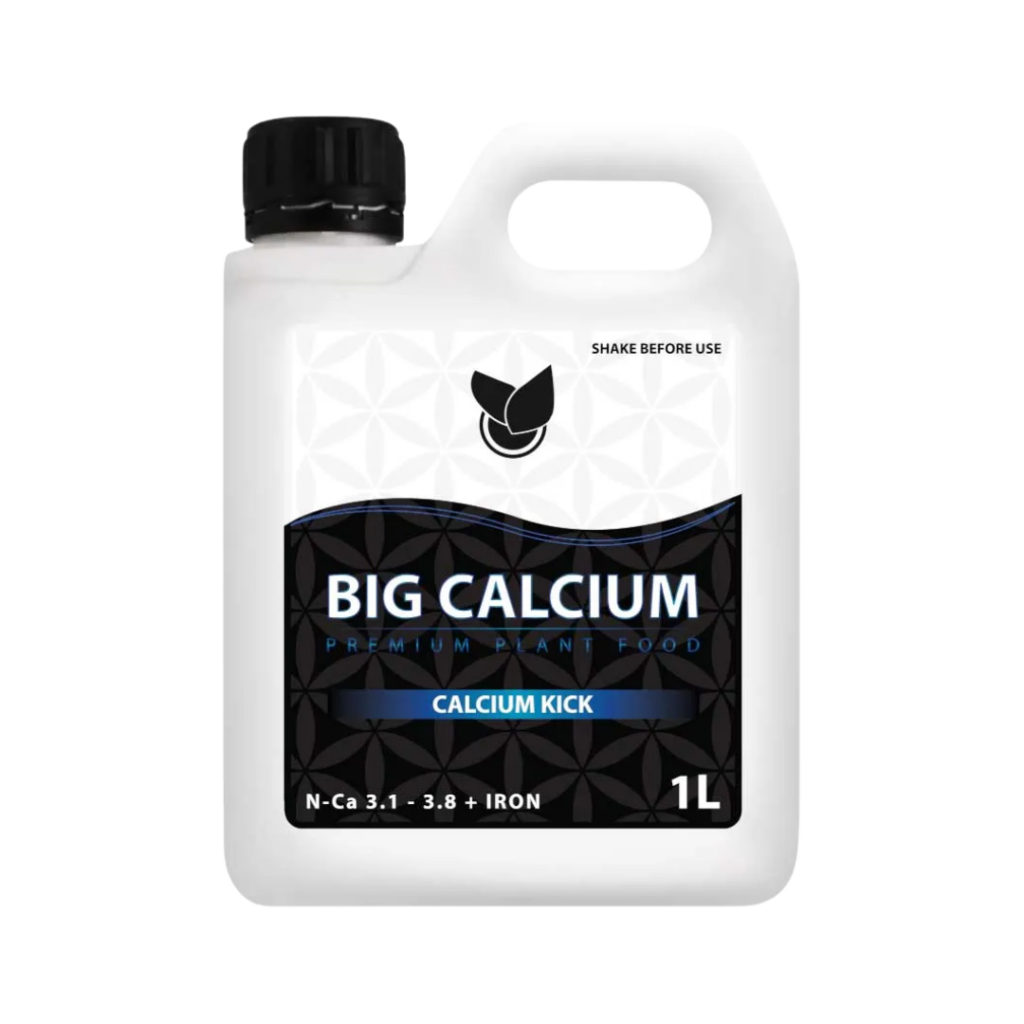 BIG CALCIUM