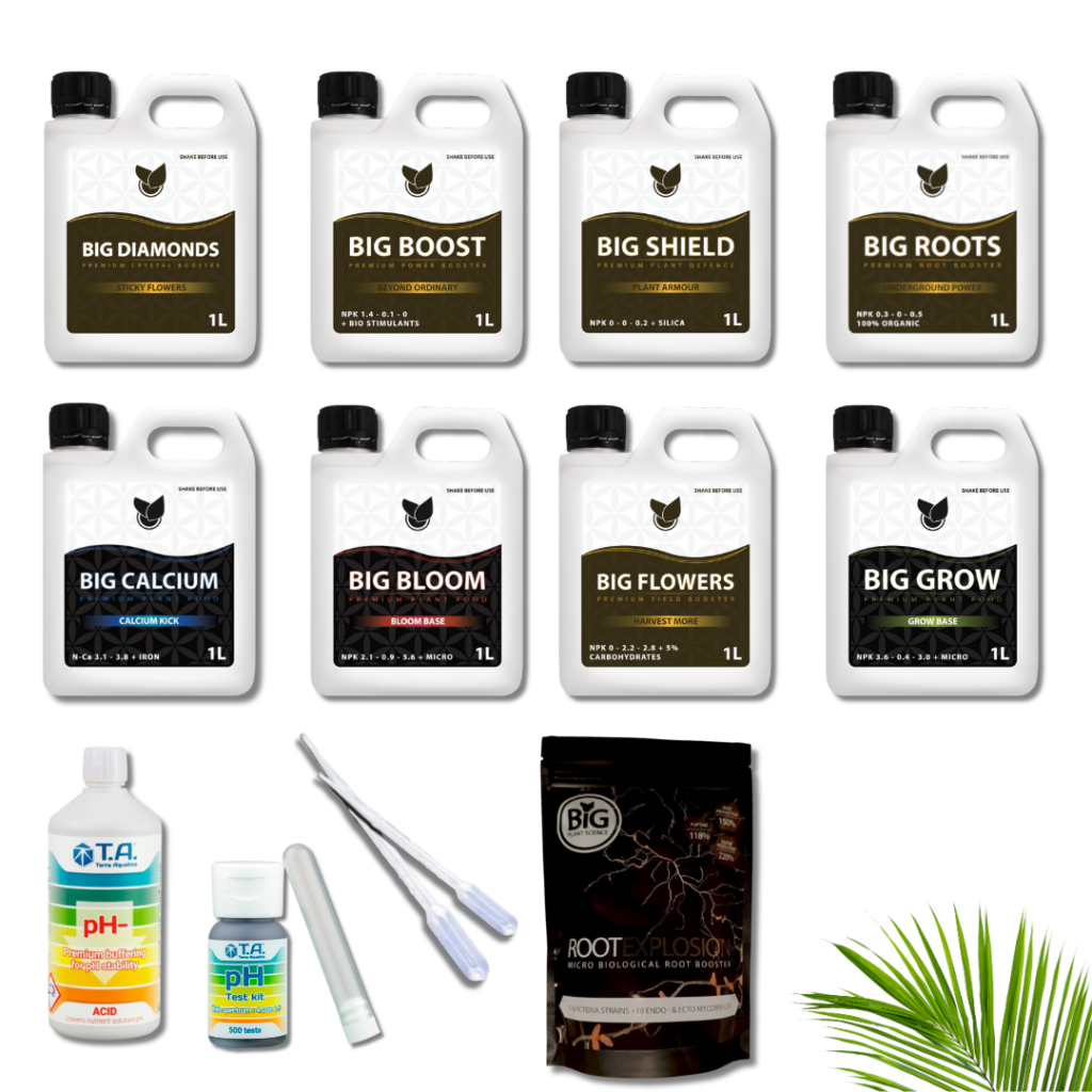 Big Plant Science - Komplet Kit