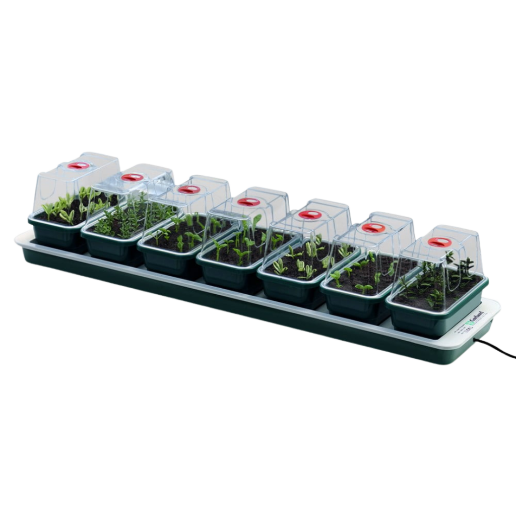 Garland – Super7 opvarmet Propagator