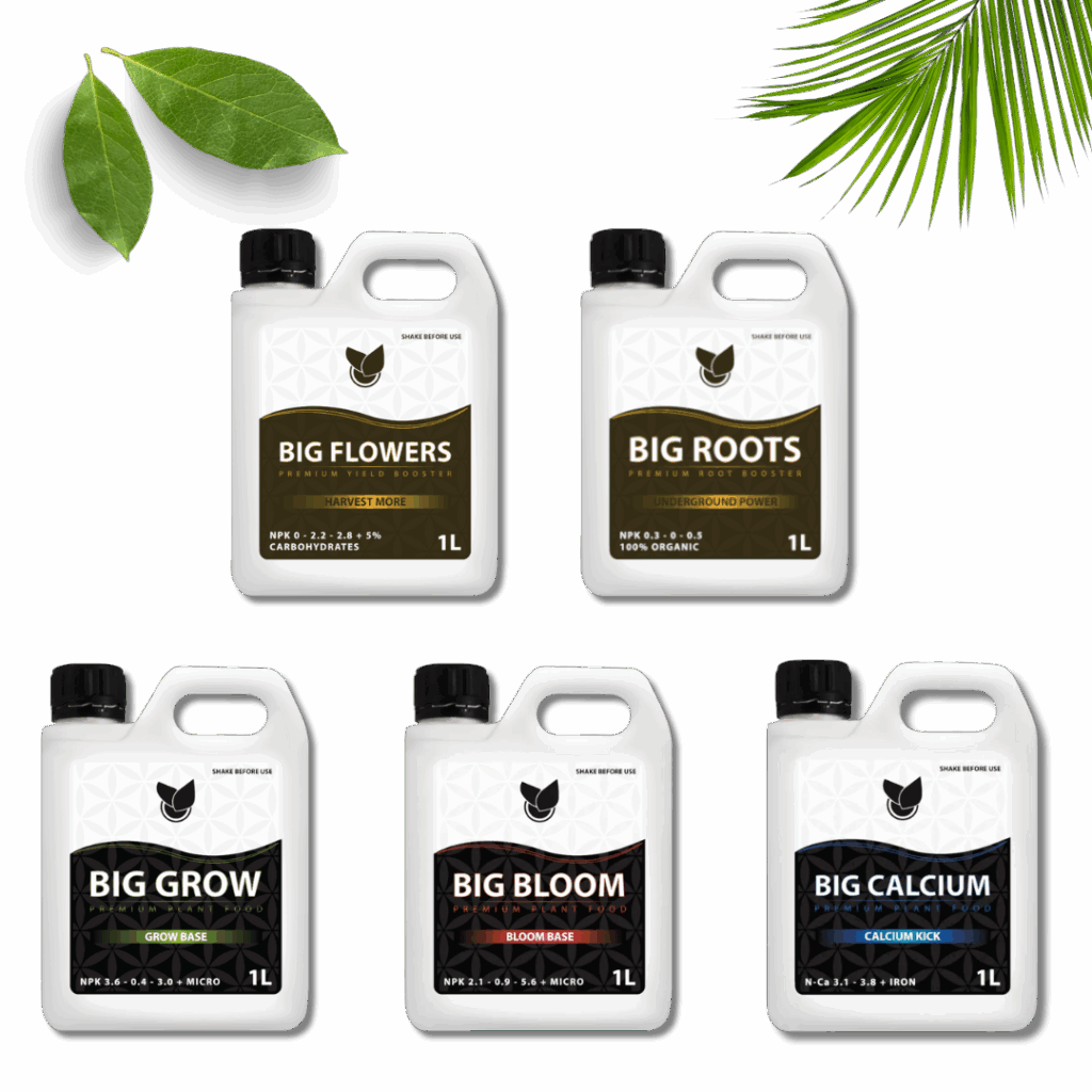Komplet Basic Kit - Big Plant Science