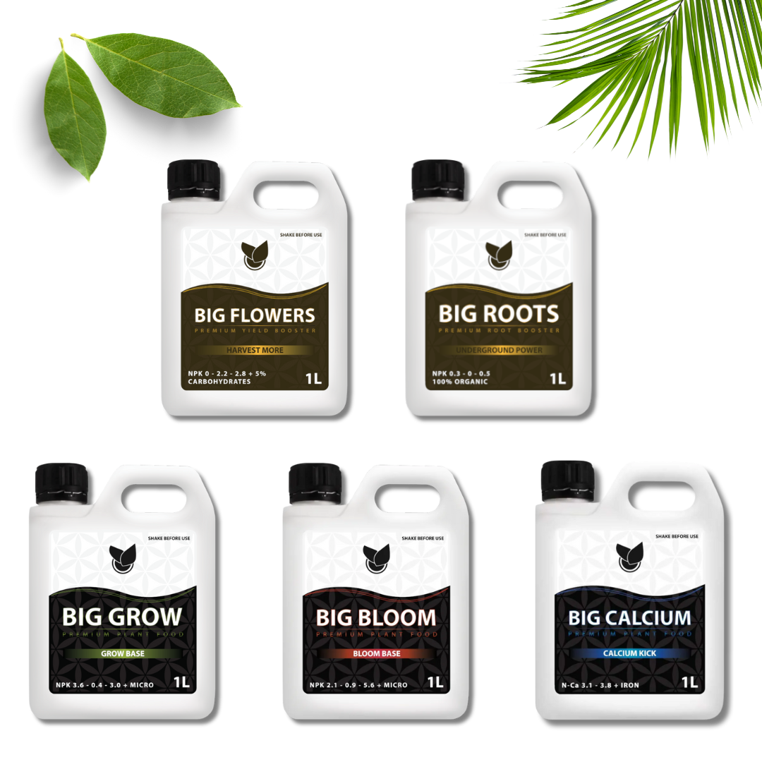 Komplet-Basic-Kit-–-Big-Plant-Science-ny-.png