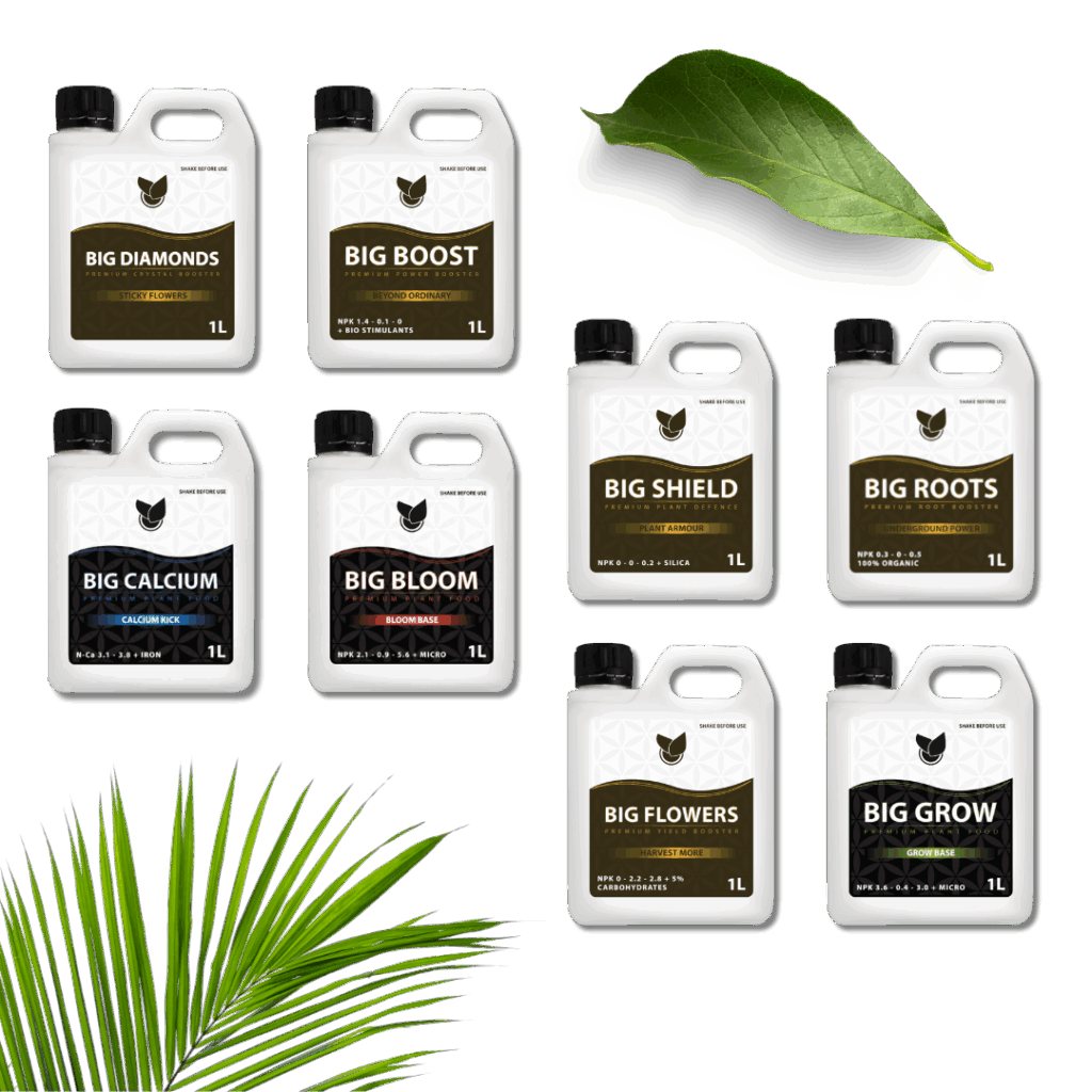 Komplet Premium Kit - Big Plant Science