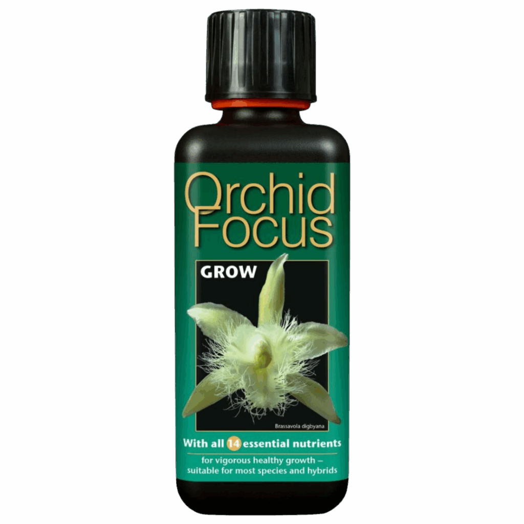 Growth Technology - Orkide Focus