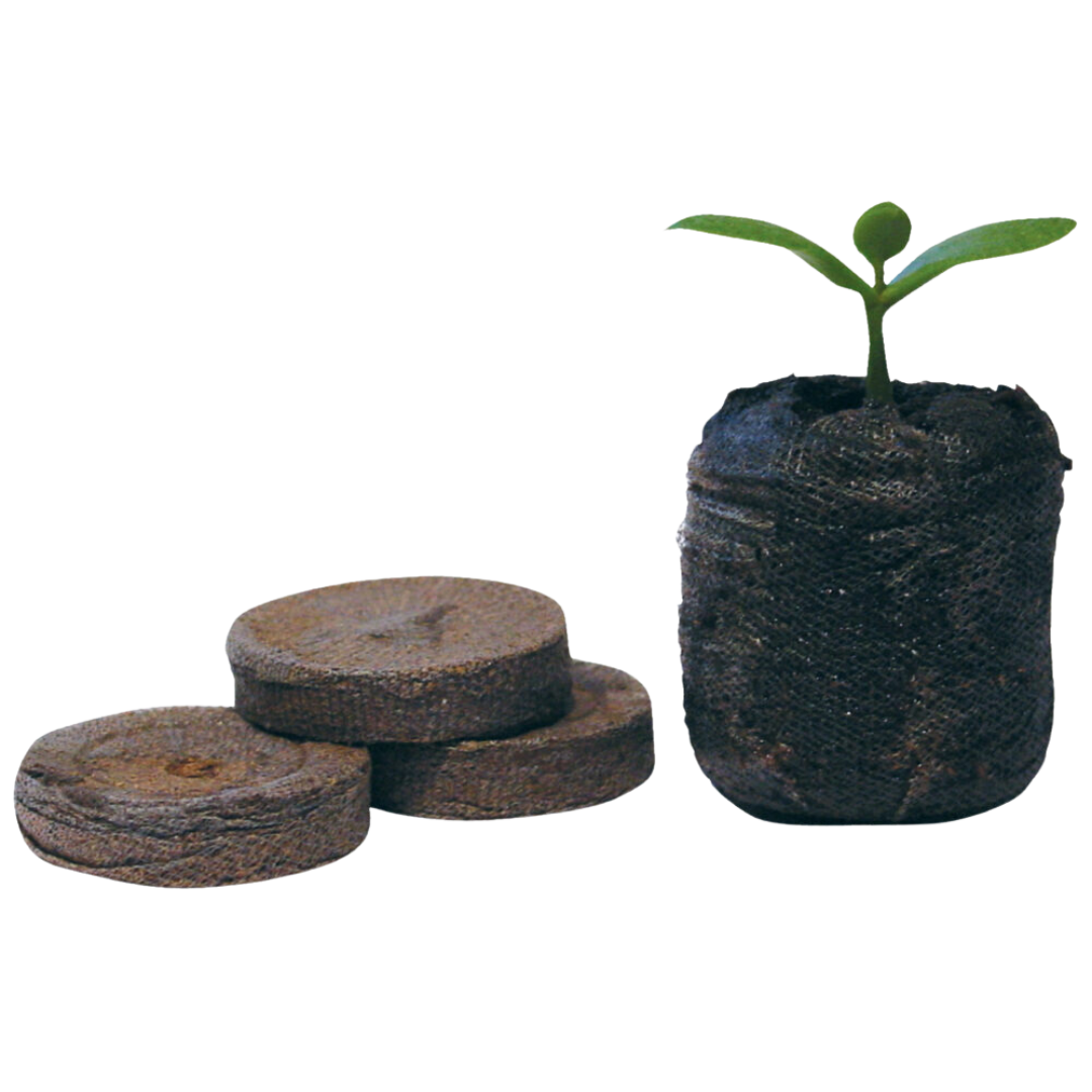 Jiffy coco plugs 1 stk - Superseeds.dk