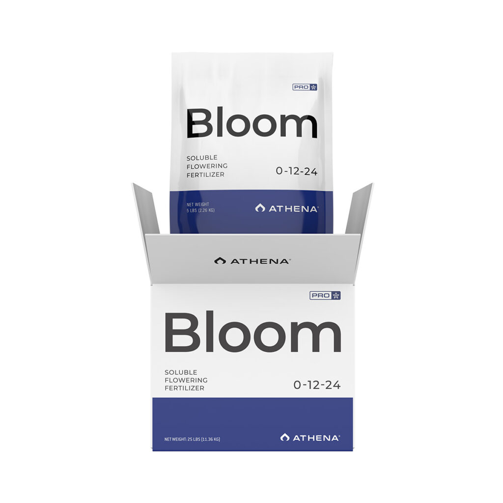 Pro Bloom