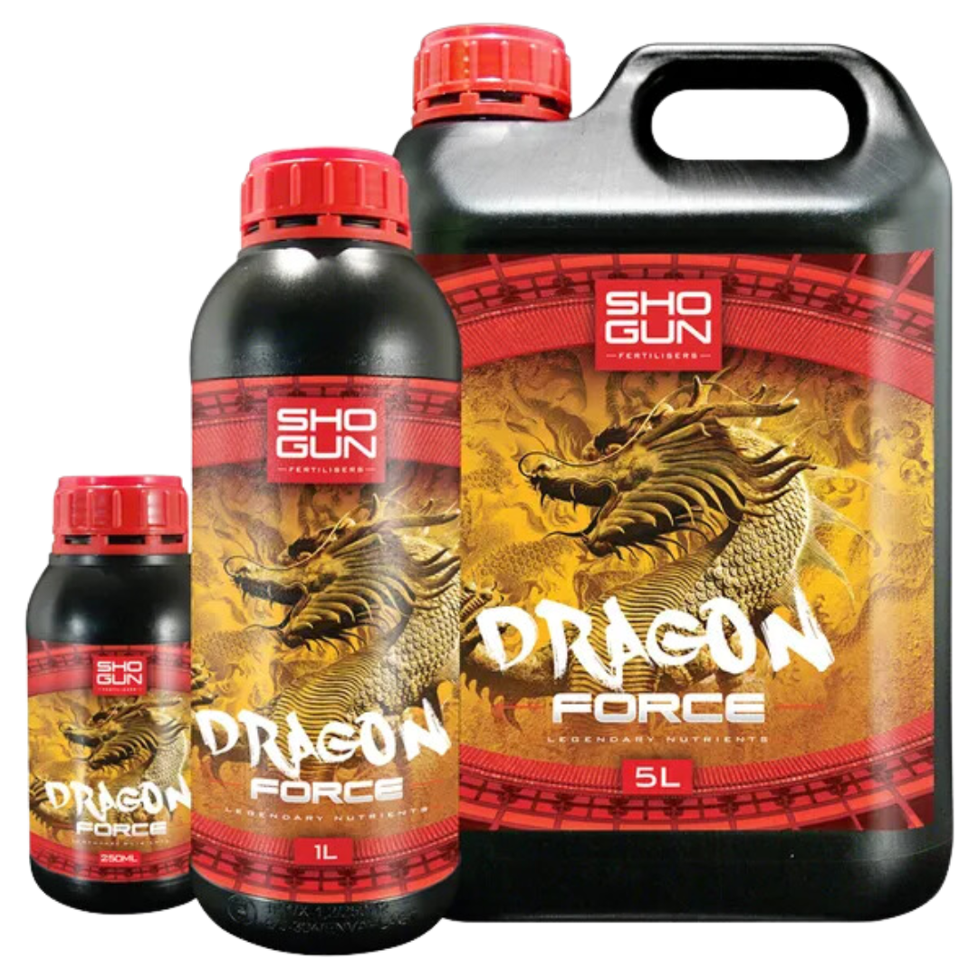 SHOGUN-–-Dragon-Force.png