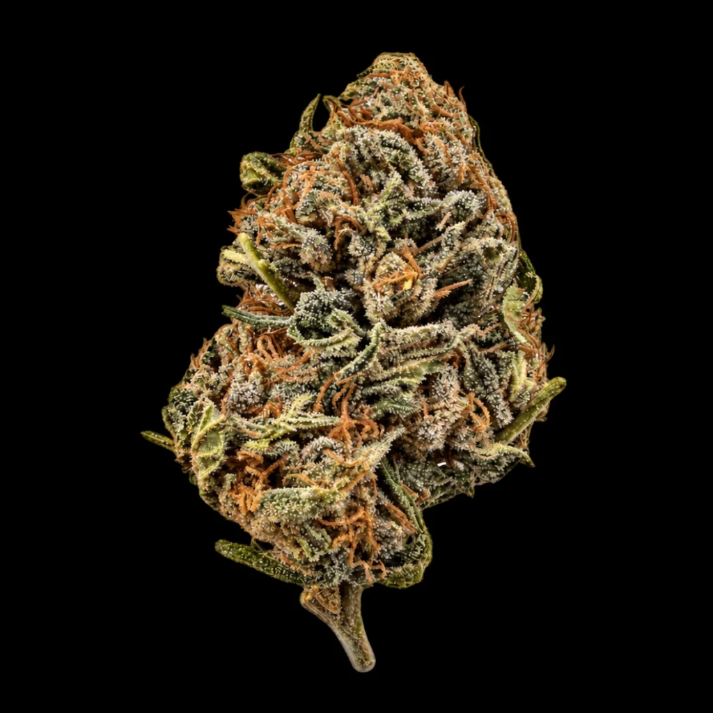 AP green CBD Blomst – Hampmarken