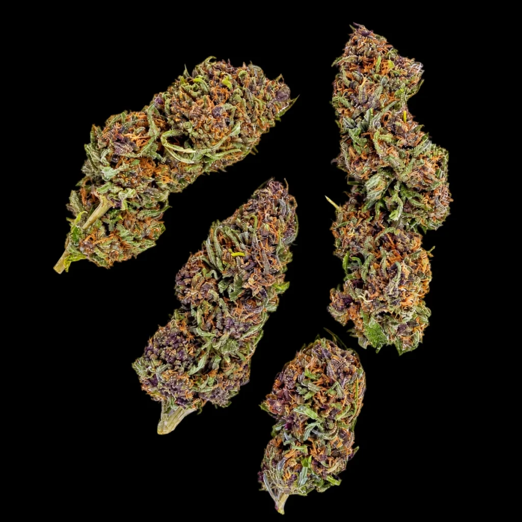 AP RED CBD Blomst – Hampmarken