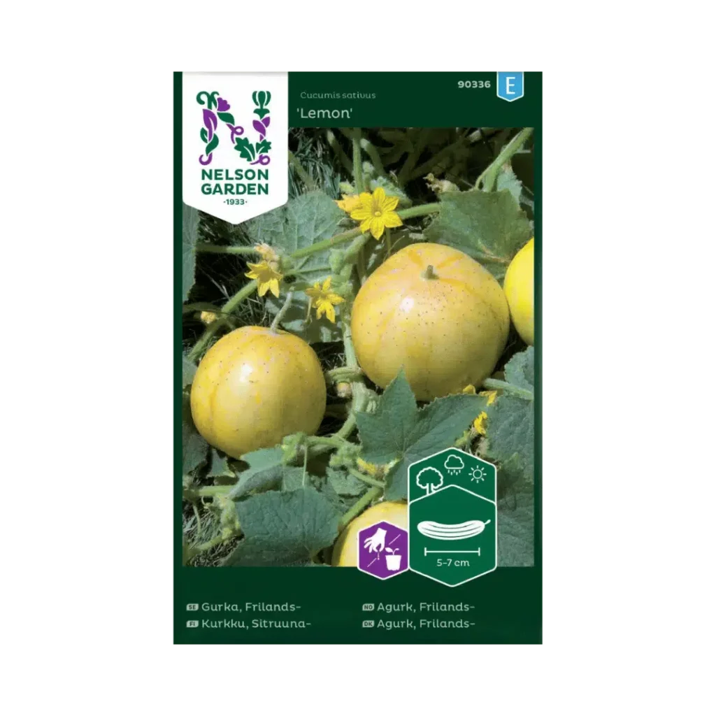 Frilandsagurk 'Lemon'