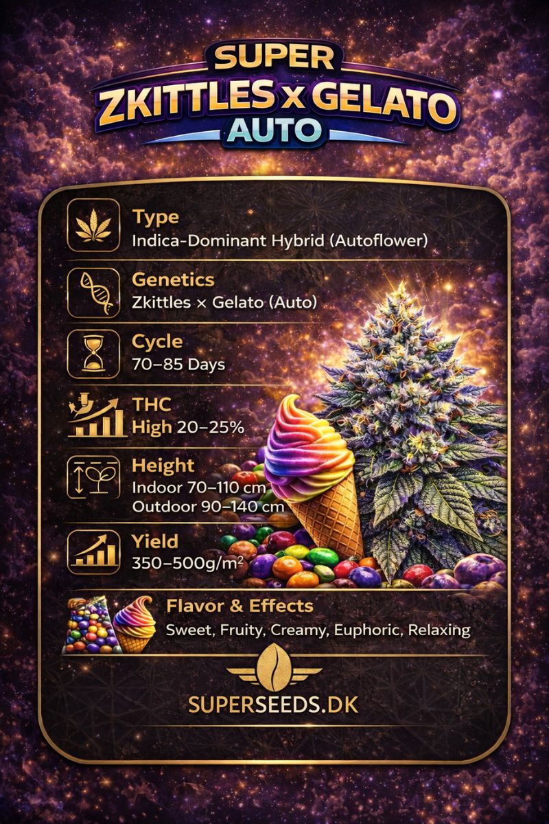 zkittles-gelato-auto-info
