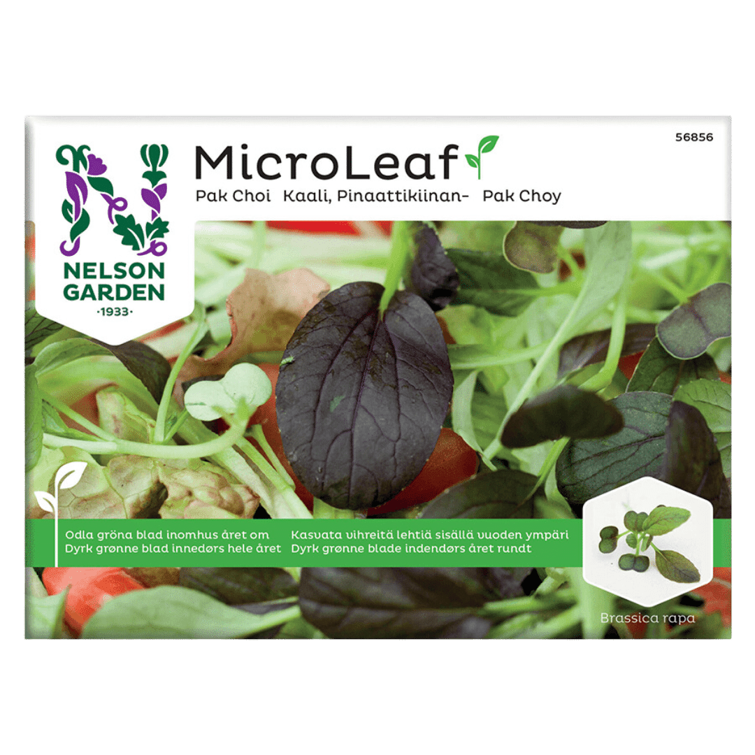 Pak-choi-spirer