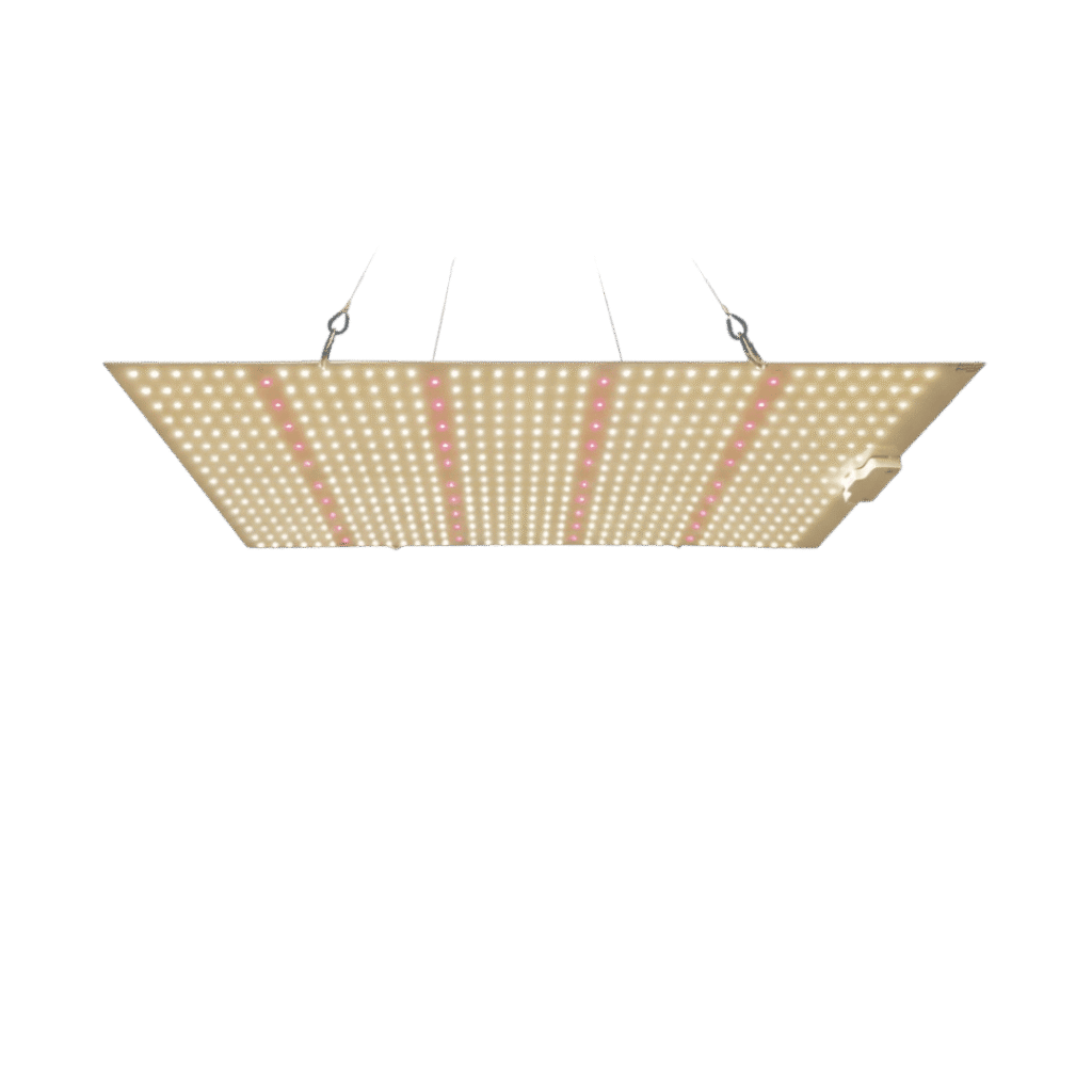Ledlys vækst og blomst – 240W