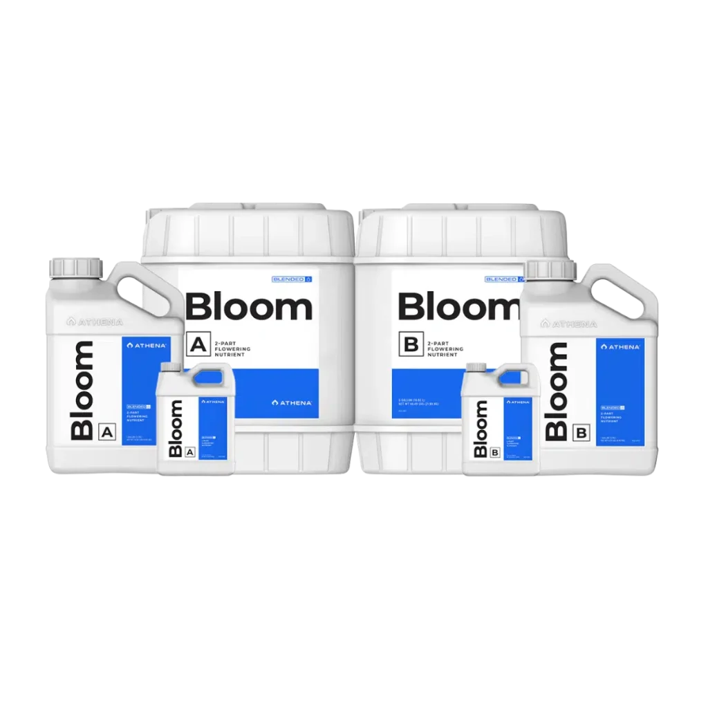 Bloom A+B