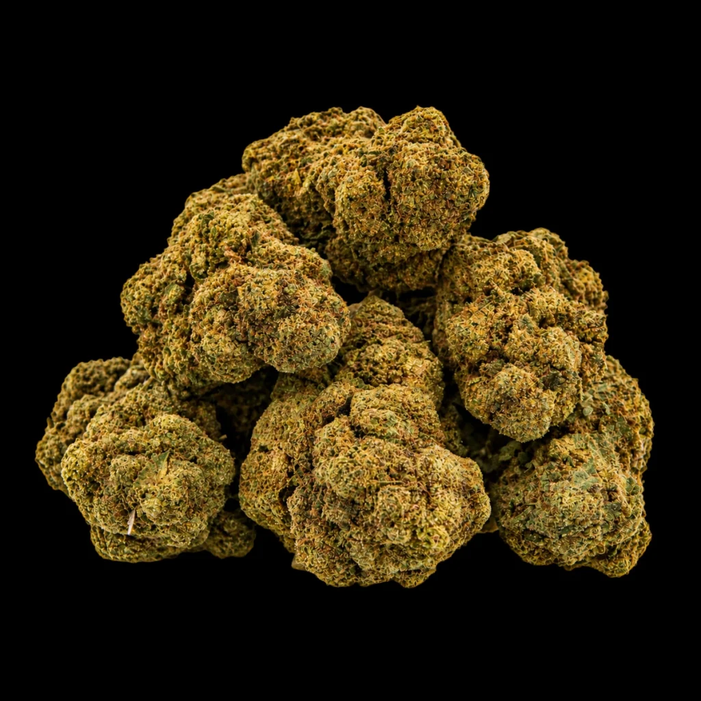 CBD Blomst – Bubblegum XL