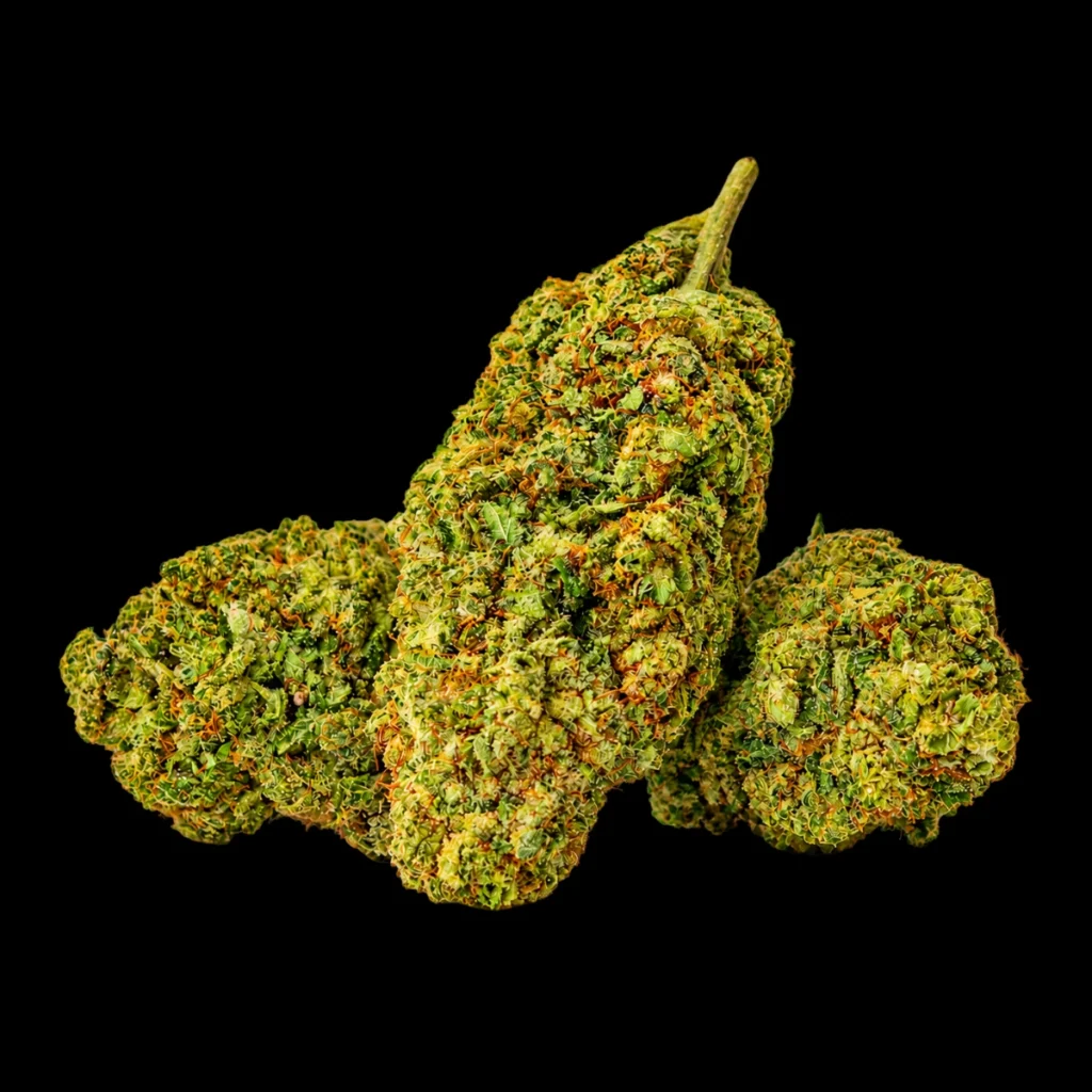 CBD Blomst – Sweet Mango