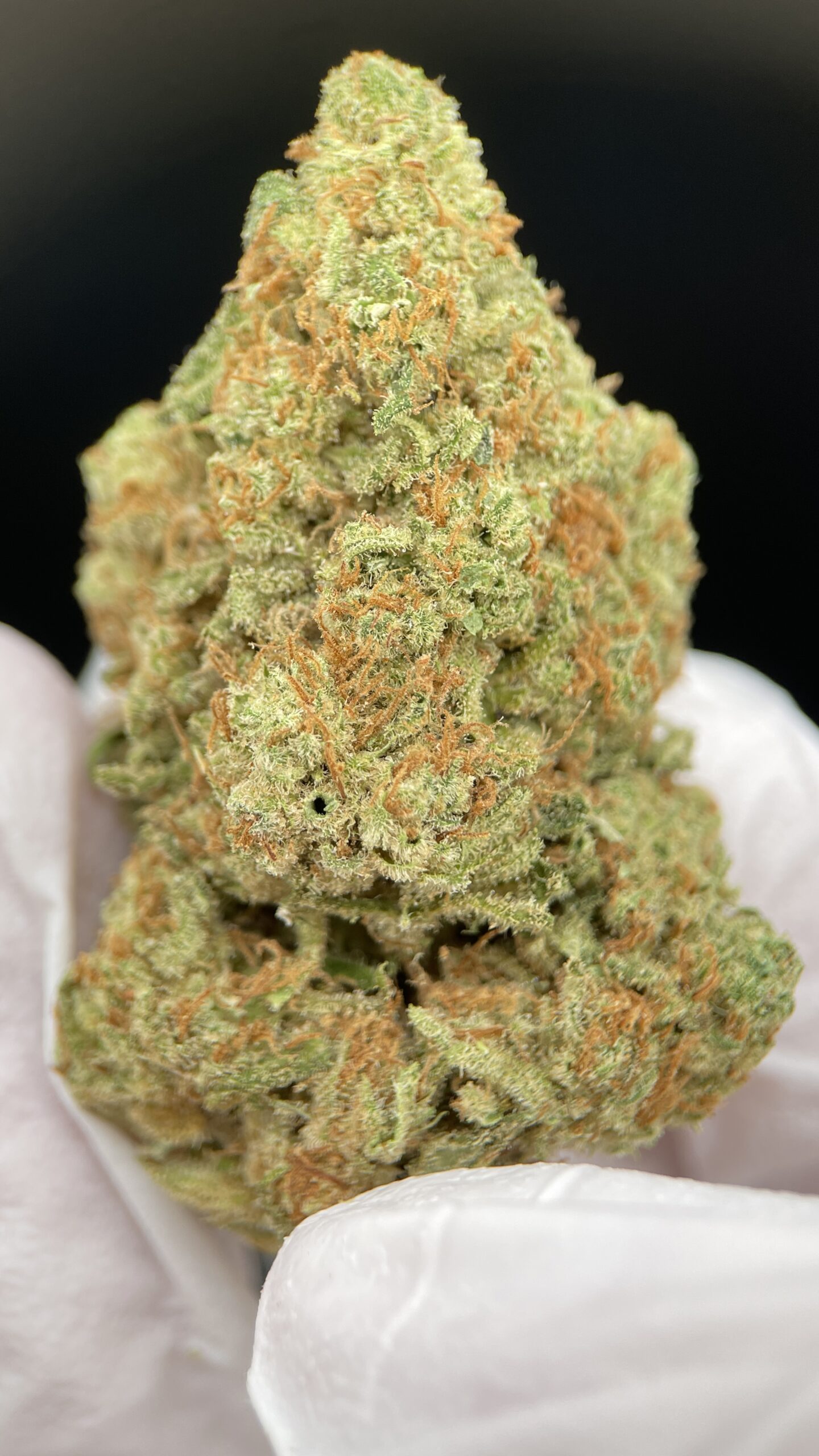 AMNESIA_HAZE_1