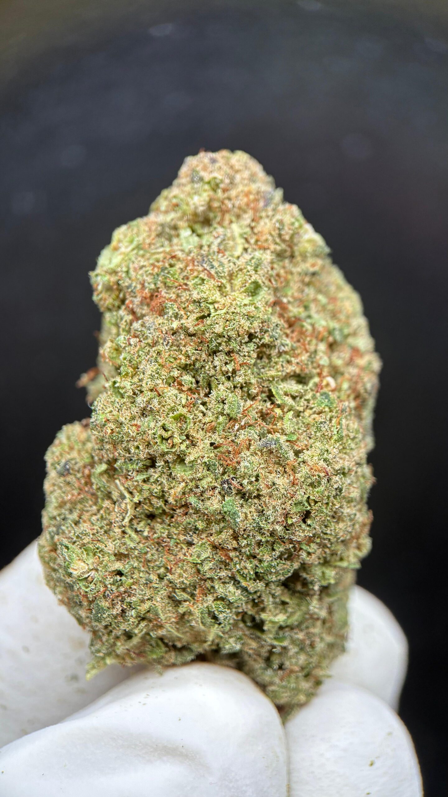 LONDON_POUND_CAKE_1