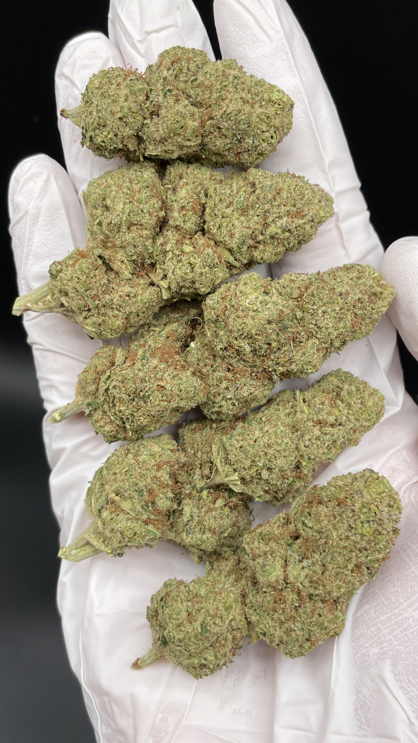 ORANGE_SHERBET_2