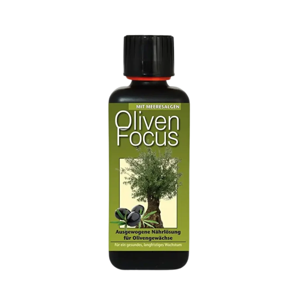 Oliven fokus 1L