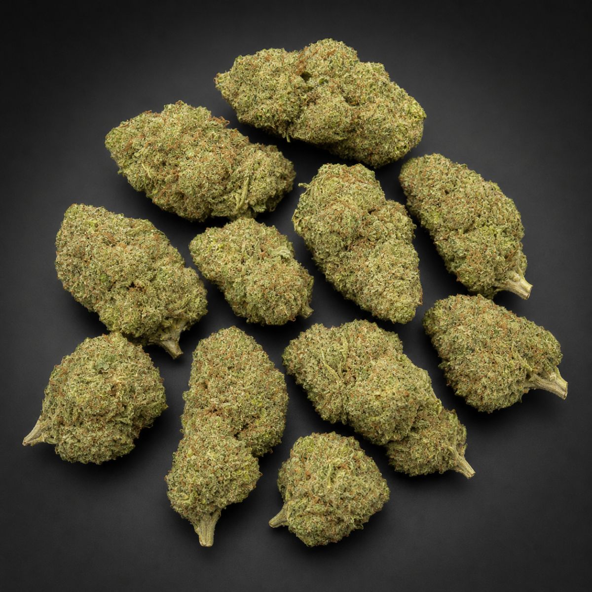 Orange Sherbert – 25 % THCA Premium Flower-1